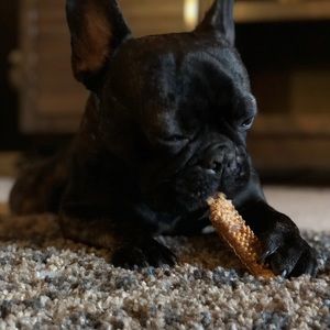 Meet your Posher, Regina